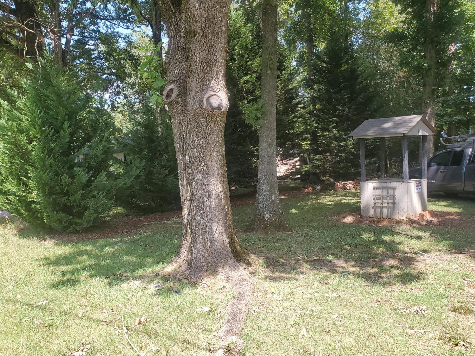 Private Single Level Standalone House Large Lot - 3 Bedrooms Charlotte Bagian luar foto